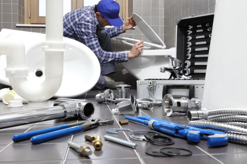 Toilet Repair detail